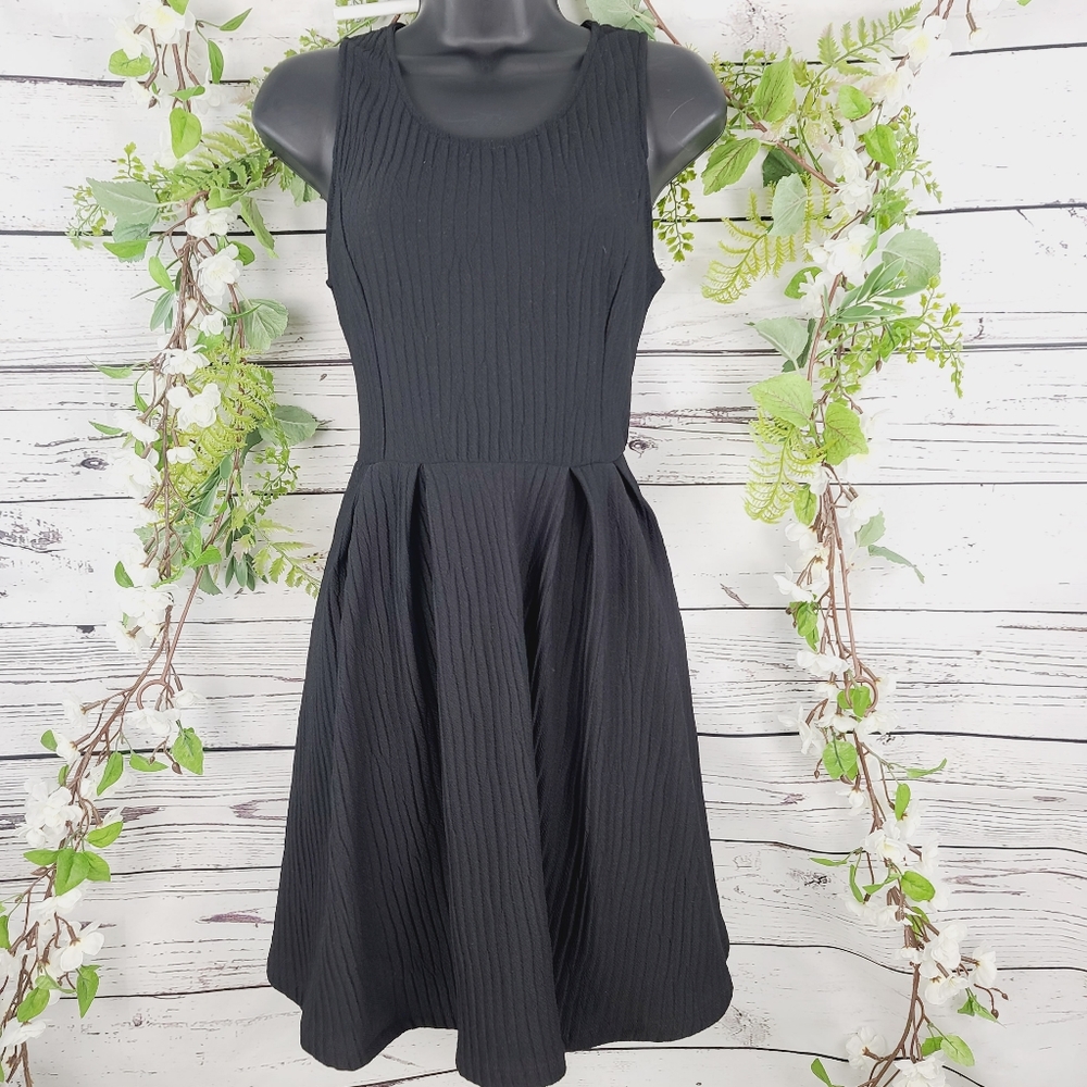 Lush Sleeveless Black Skater Dress